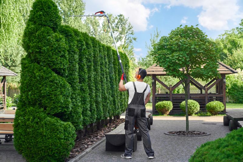 Hedge Landscaping