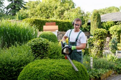 Hedge Planting