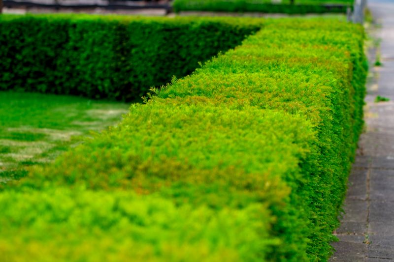 Hedge Planting