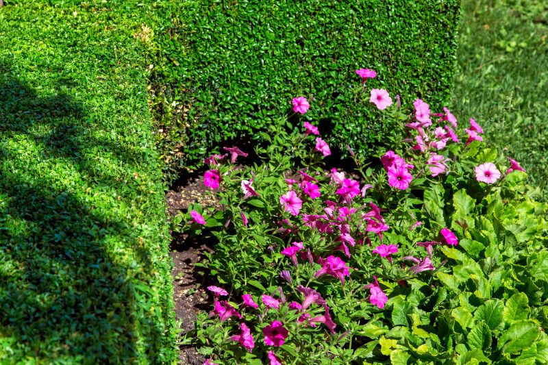 Hedge Planting
