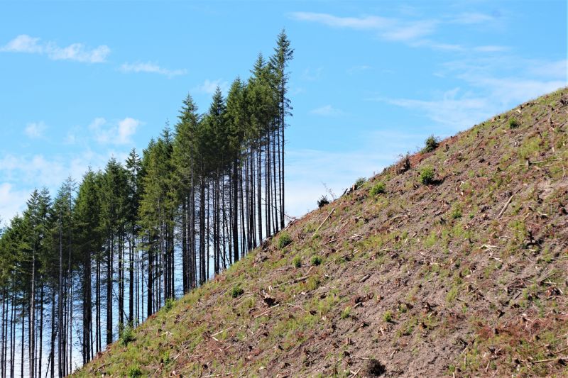 Hill Landscaping