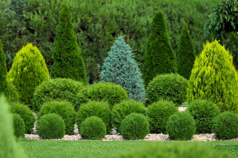 Mature Plantings