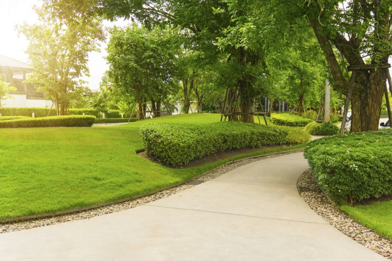 Elegant Pathways