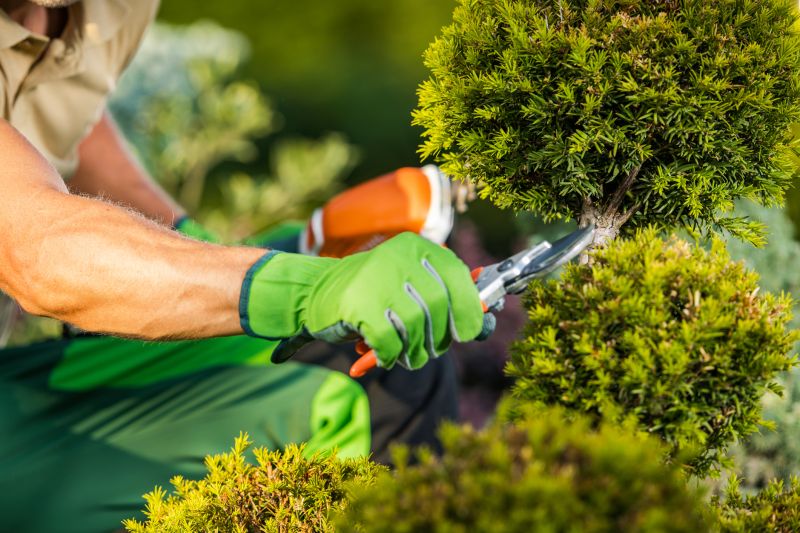 Landscape Planting Service