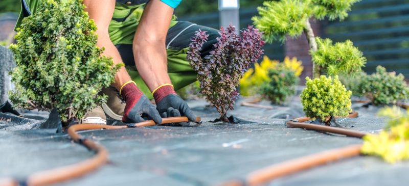 Landscaping Installation