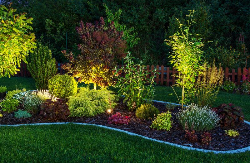 Lawn Curbing Service