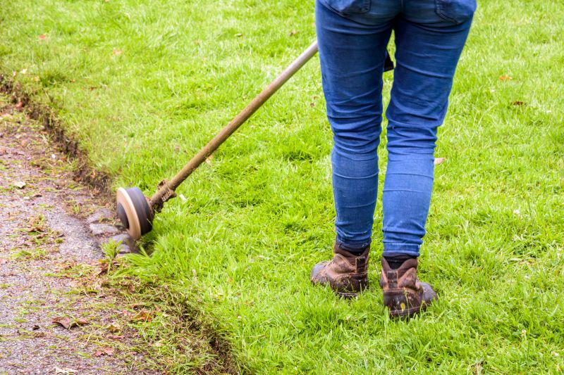Lawn Edging Service
