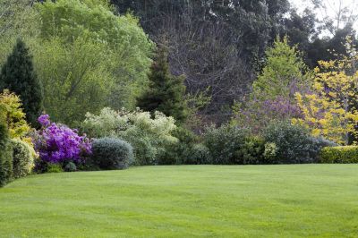 Lawn Landscaping