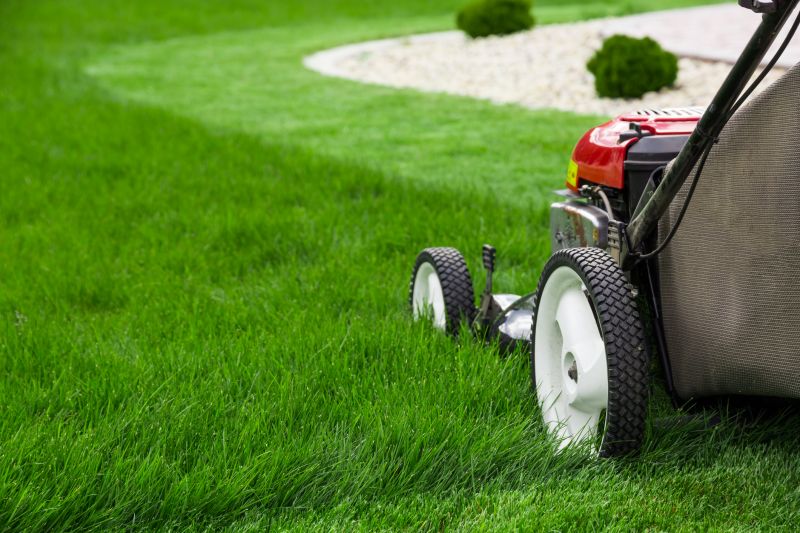 Lawn Repair Service