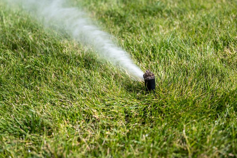 Blowing Out Sprinkler Lines