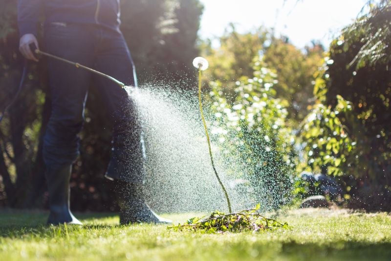 Lawn Weeding