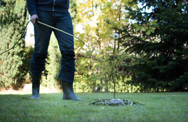 Lawn Weeding