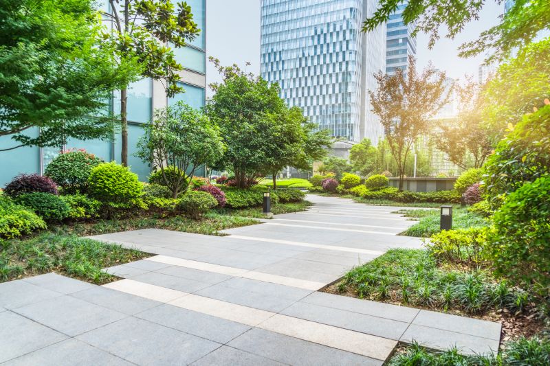 Modern Landscaping