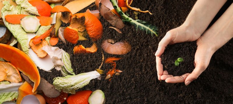 Organic Mulch Delivery