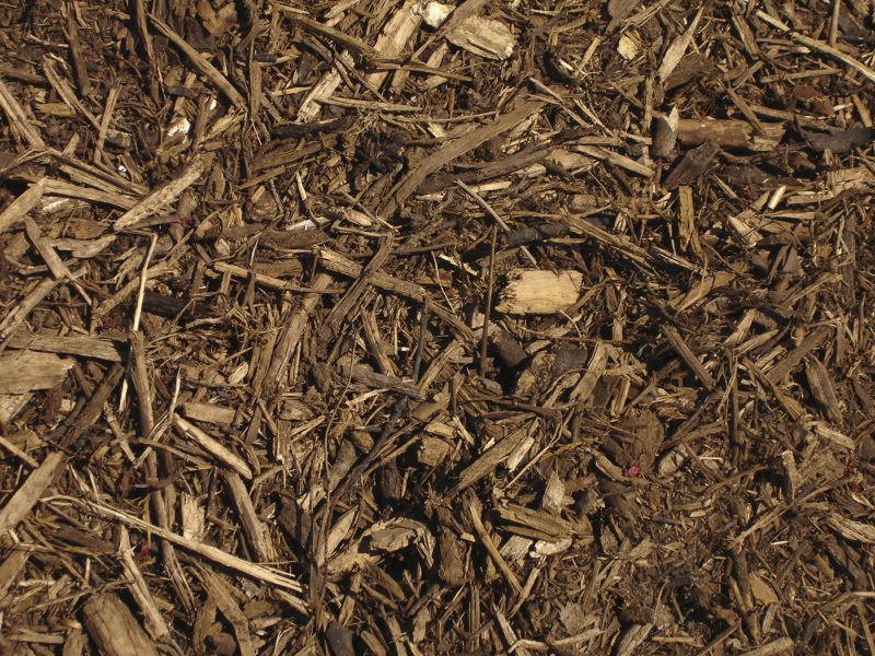 Organic Mulch Delivery