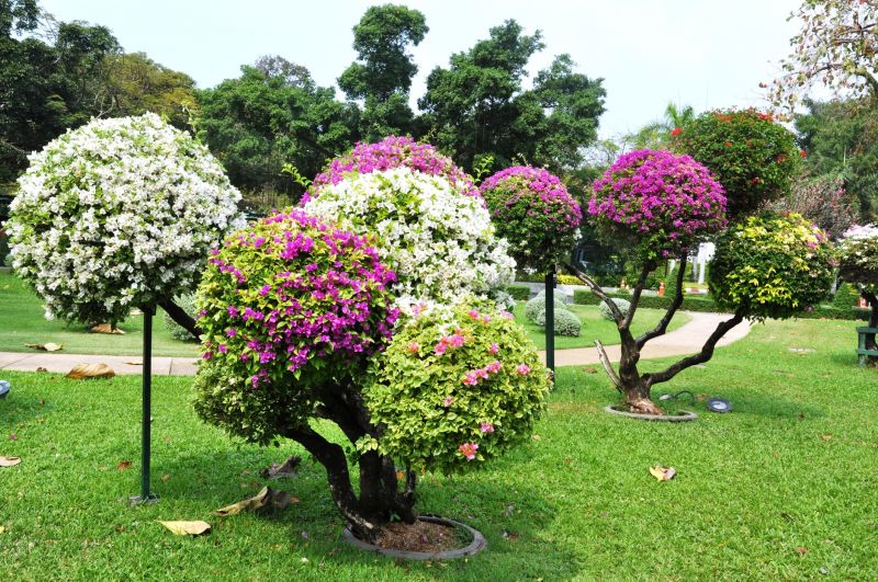 Perennial Landscaping