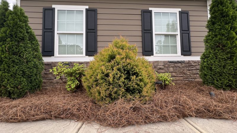 Pine Mulch Installation