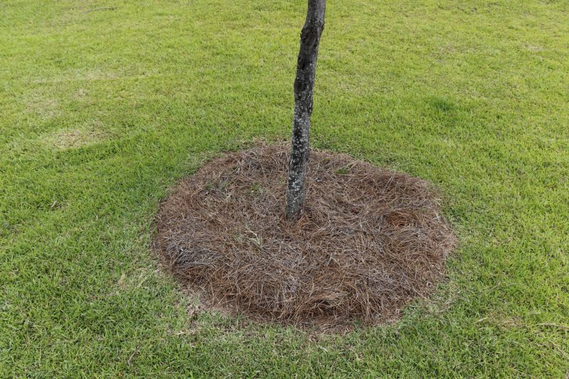 Pine Mulch Spreading