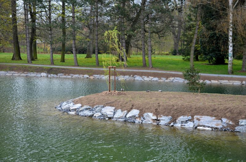 Pool Landscaping Service
