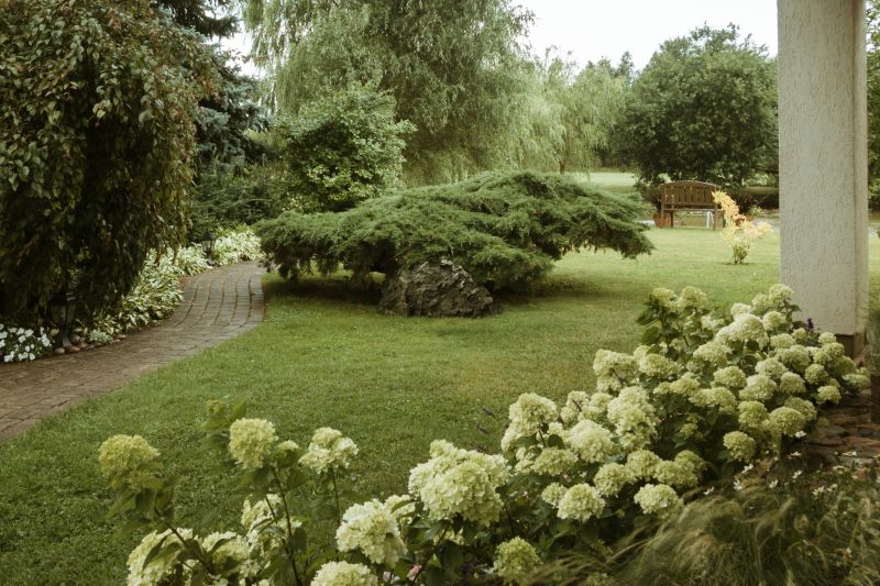 Privacy Landscaping