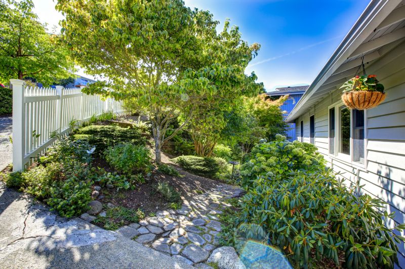 Privacy Landscaping