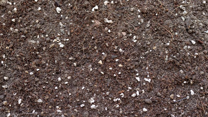 Rich Soil Delivery