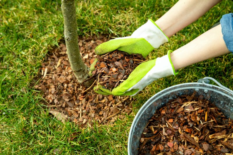 Shredded Mulch Installation