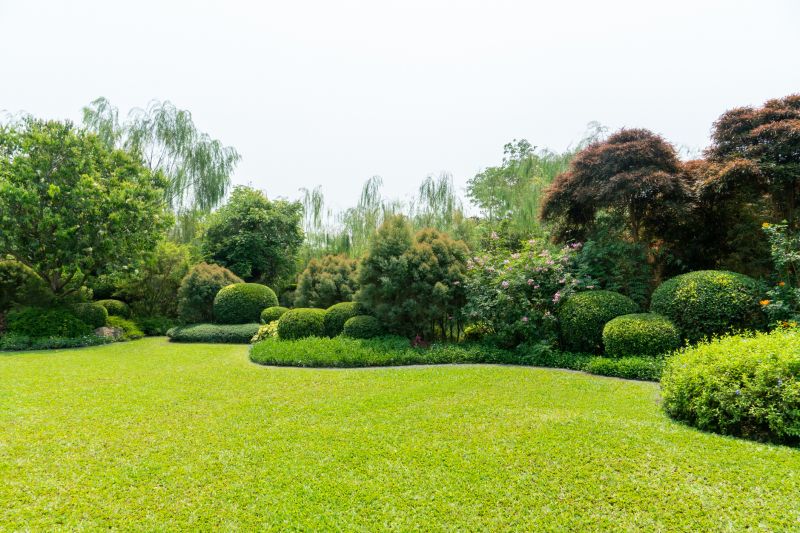 Shrub Landscaping