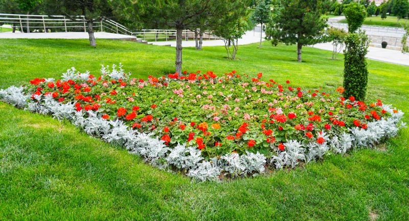 Shrub Landscaping