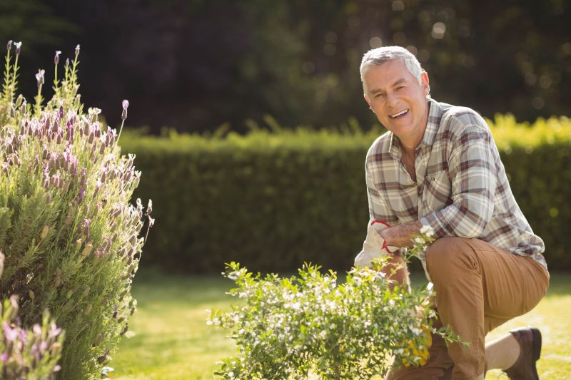 Shrub Planting Service