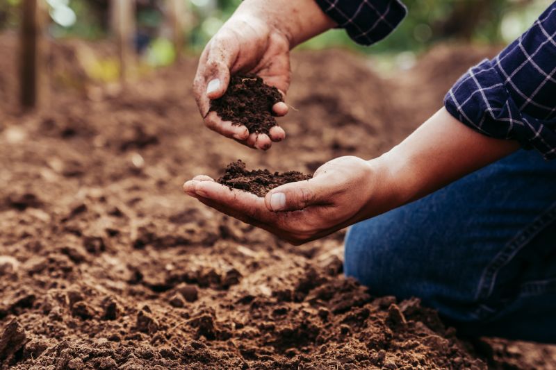 Soil Erosion Repair