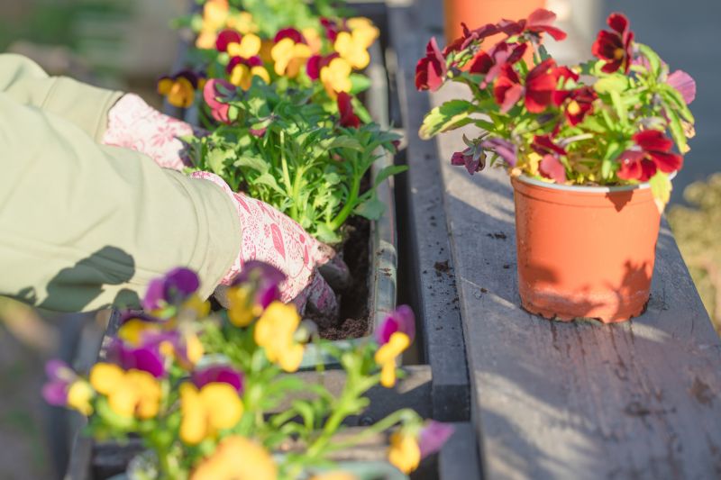 Spring Garden Maintenance