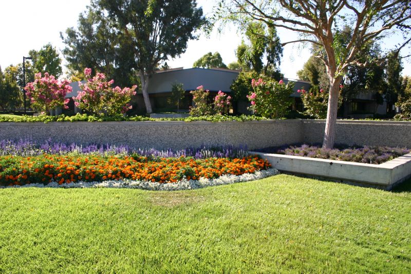 Spring Landscaping