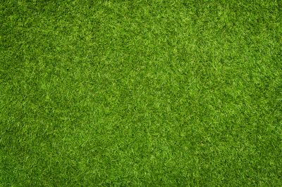 Synthetic Grass Installation