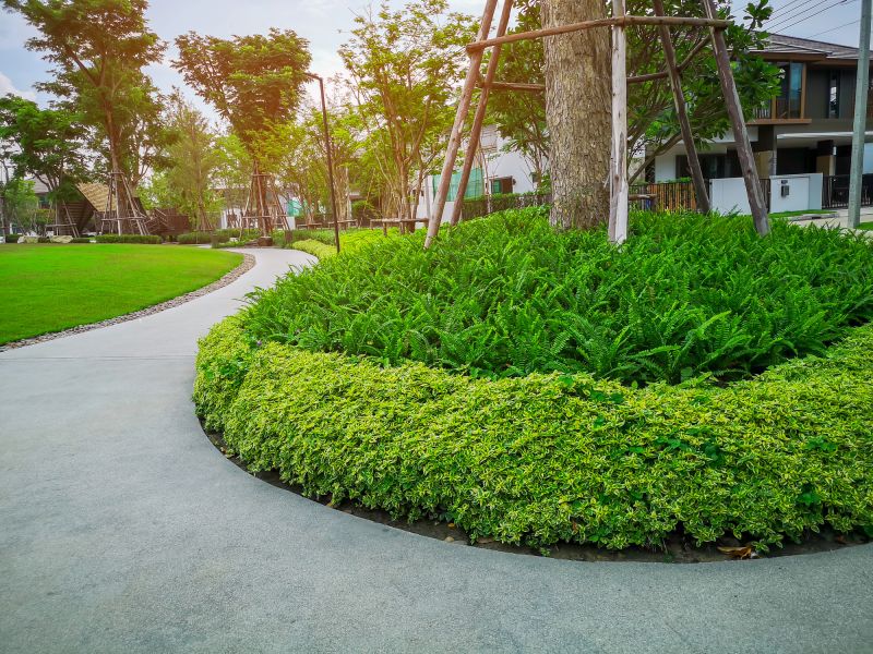 Tree Landscaping