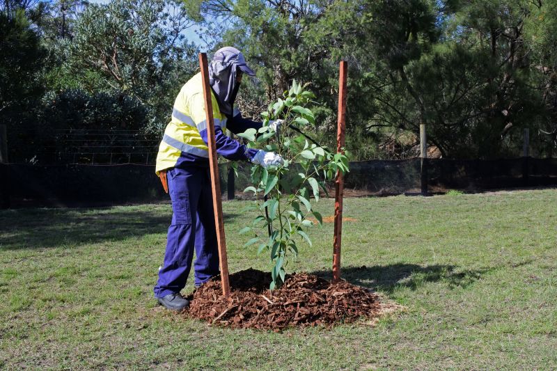 Tree Staking Service