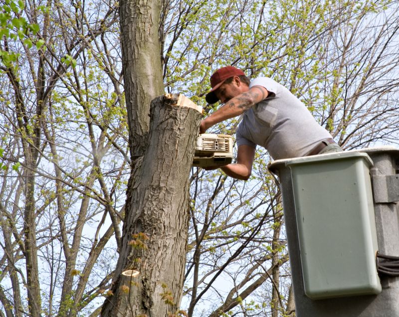 Tree Staking Service
