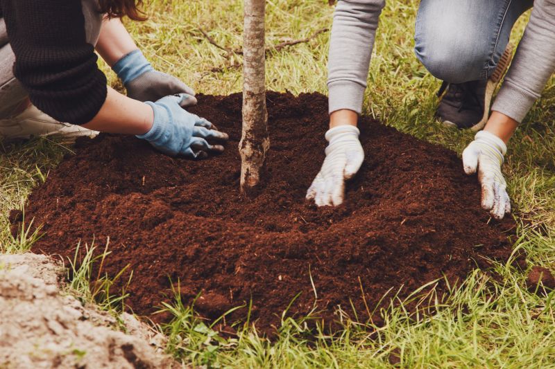 Trees Planting