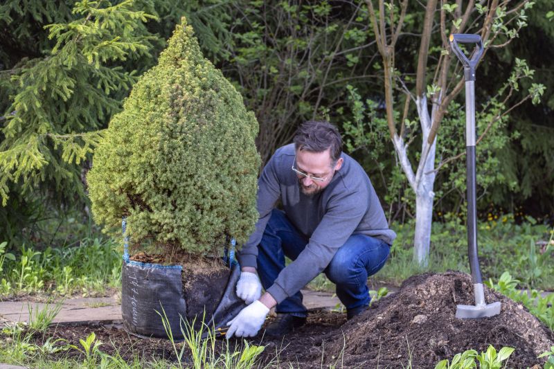 Trees Planting