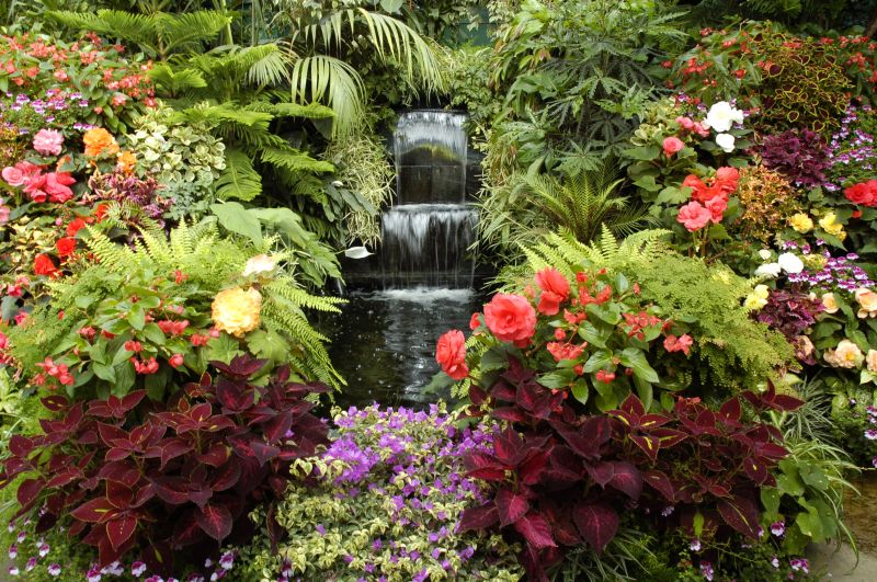 Water Garden Landscaping