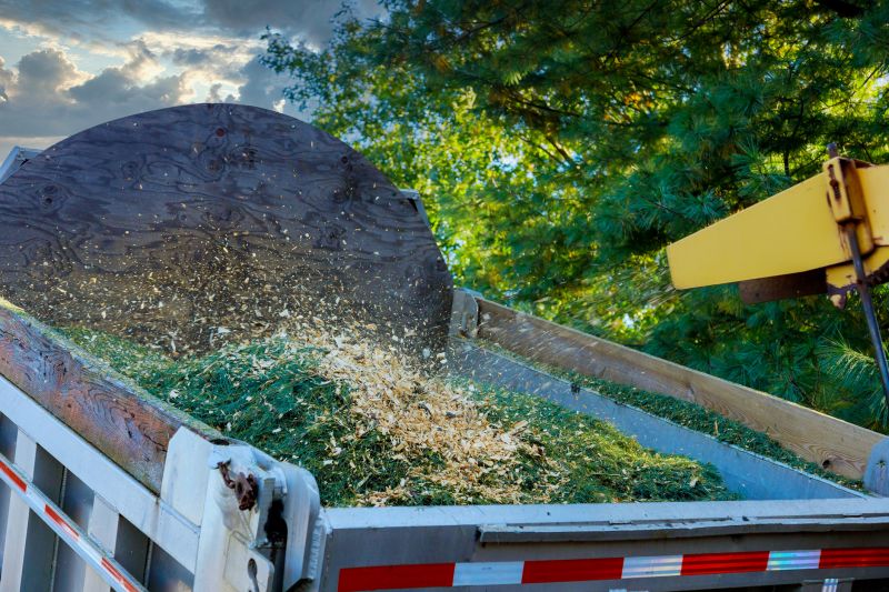 Wood Chips Removal