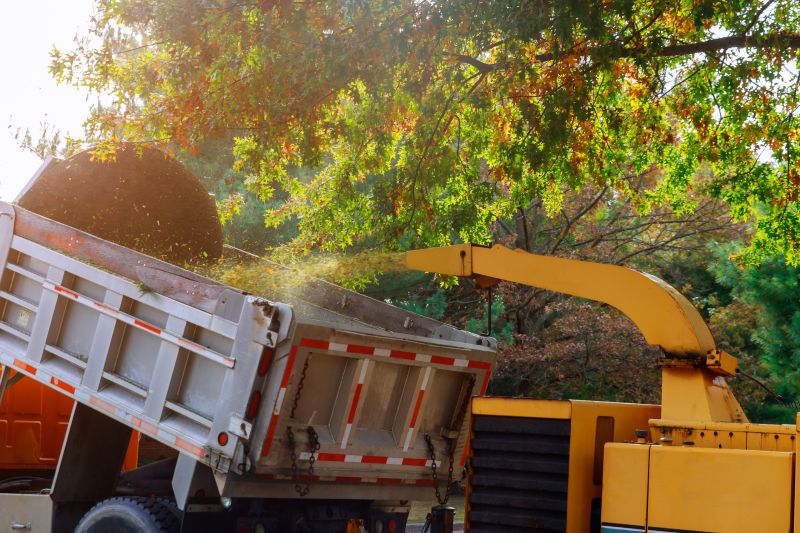 Wood Chips Removal
