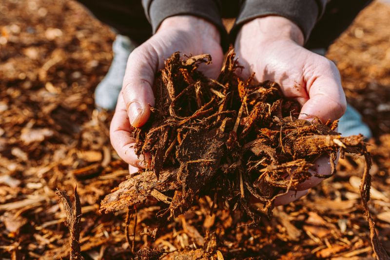 Wood Chips Spreading