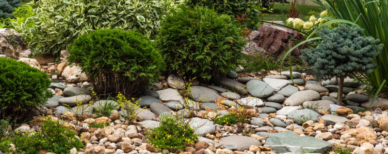 Xeriscaping Service