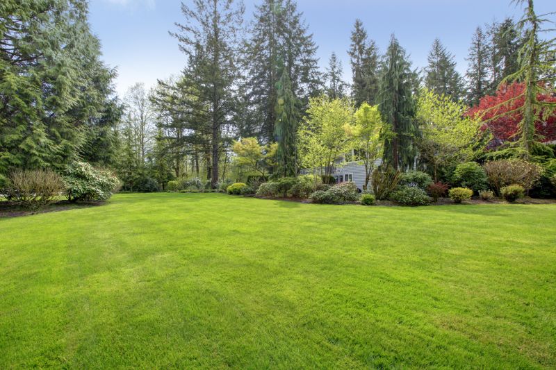 Yard Enlargement