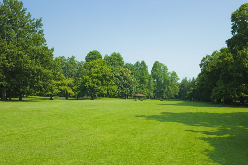 Yard Enlargement