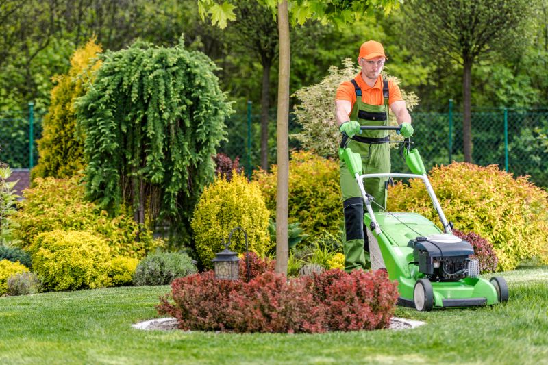 Yard Landscaping Service