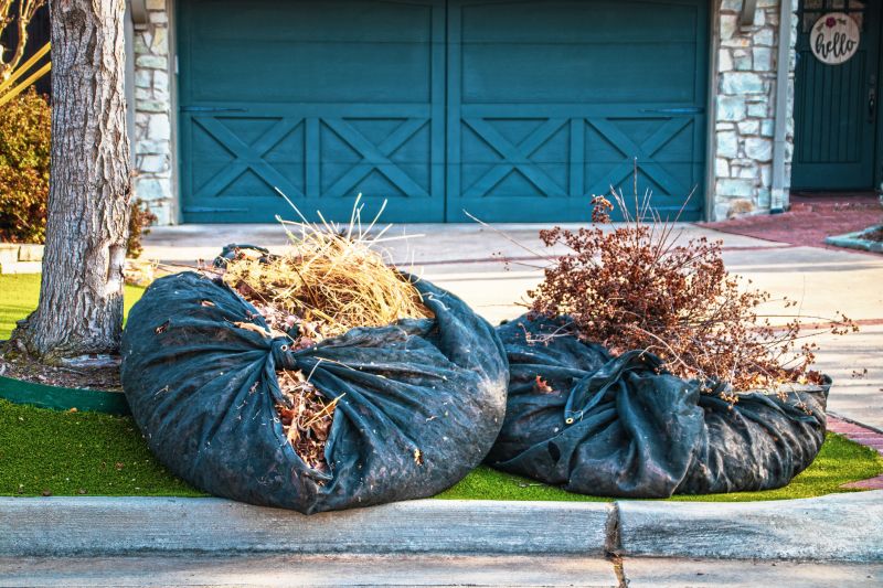 Yard Makeover Service
