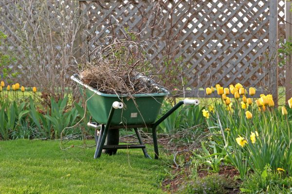 Flower Bed Cleanup Service in Dubuque
