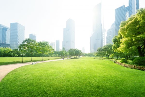 Commercial Landscape Maintenance in Dubuque